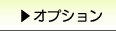 �h�{�}�C�X�^�[BASIC�Ŗ{�̂ɒǉ����Ďg�p����I�v�V�����@�\