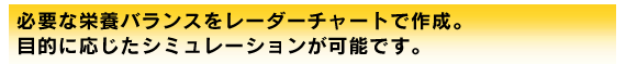 �K�v�ȉh�{�o�����X�`���[�g���V�~�����[�V�����F�h�{�}�C�X�^�[