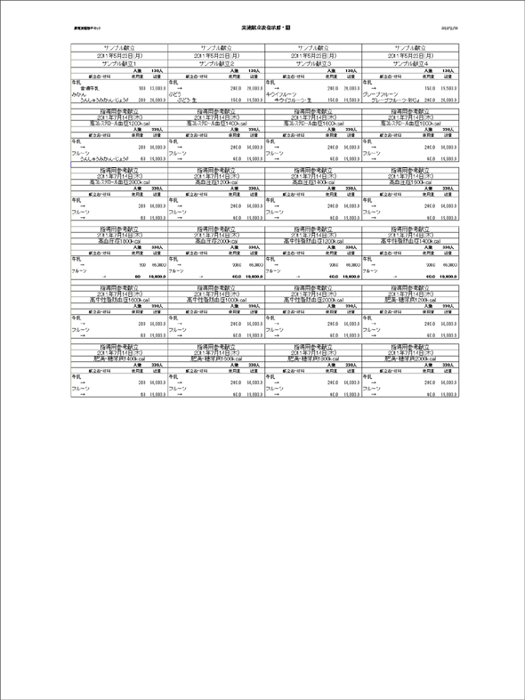 栄養マイスター　実施献立表指示用・間印刷