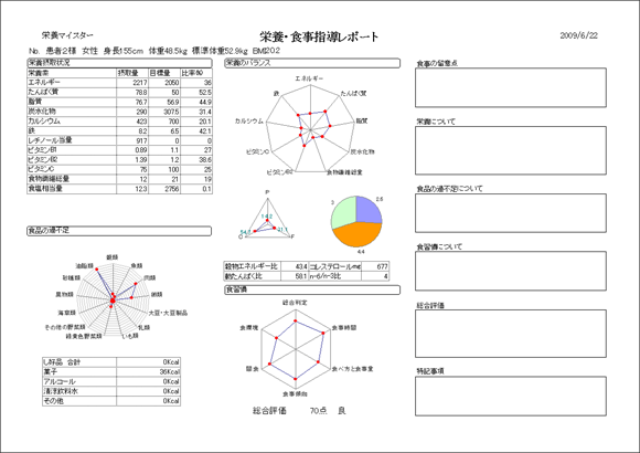栄養マイスター　栄養指導　個人管理キット　レポート印刷